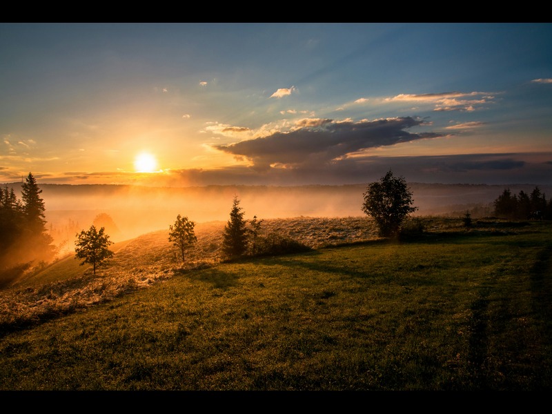 Good morning blessings.