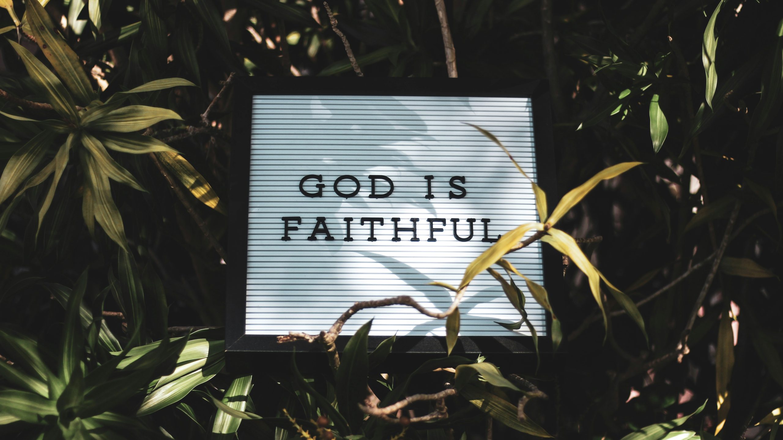 God’s Blessings Quotes