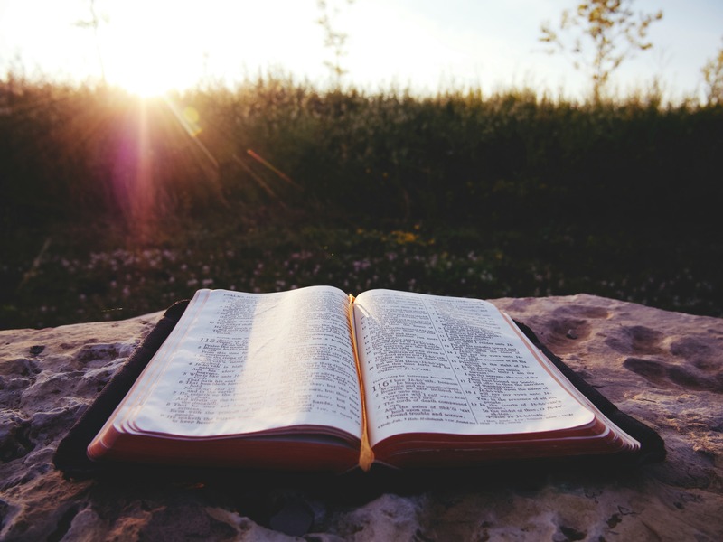 Bible Verses About Strength
