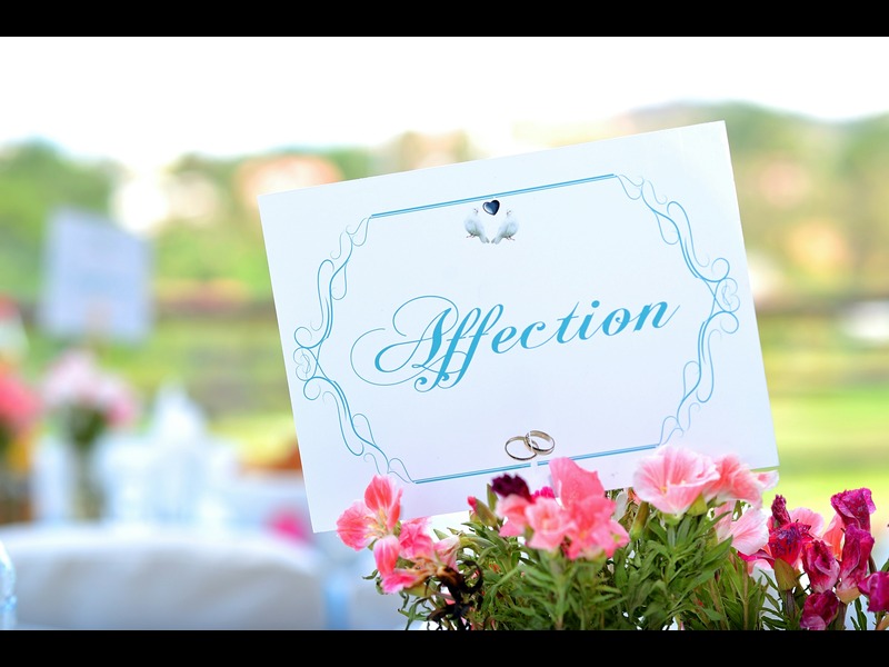 Wedding Wishes Messages