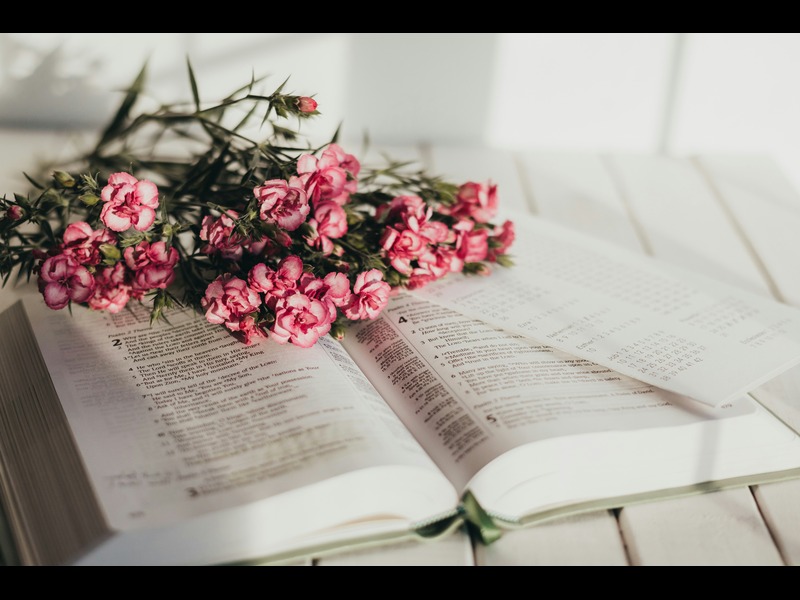 Bible Verses About God's Love and Unconditional Love